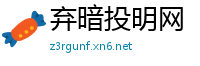 弃暗投明网